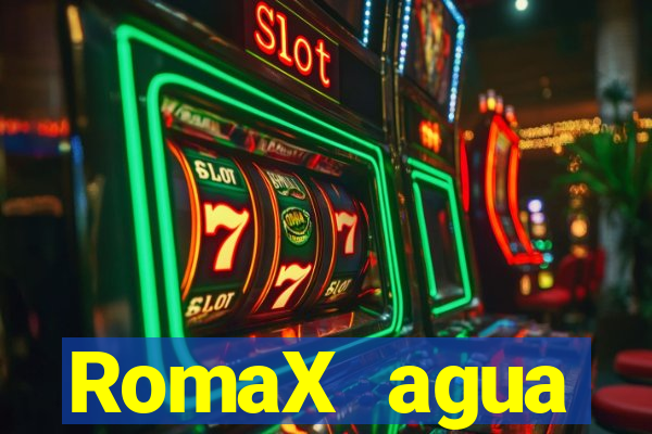 RomaX agua sanitaria fispq agua sanitaria romax